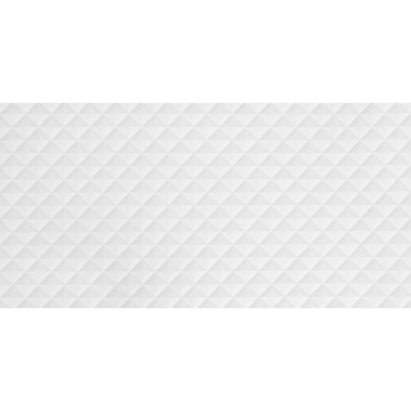 1002019SV