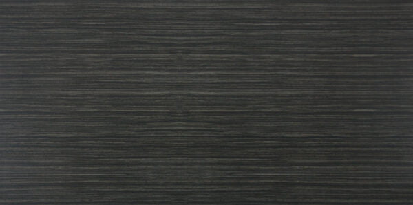 1102003PB FERRO 1200x600 mm