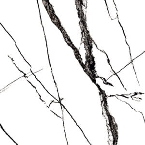 Calacatta Dark