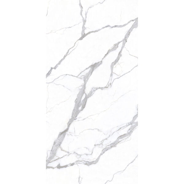 1005203SV-P3