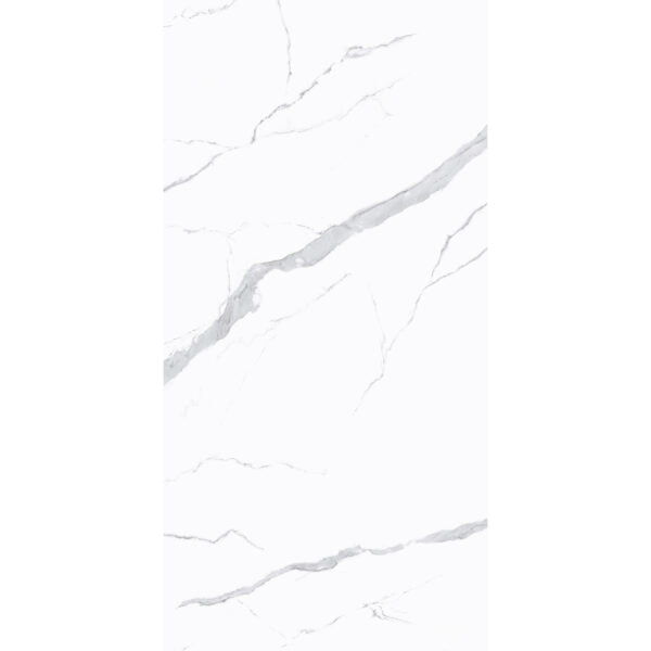 1005205SV-P2