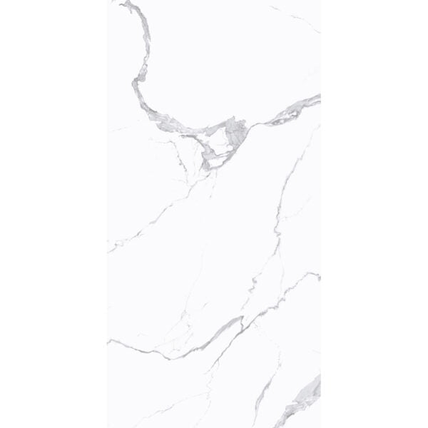 1005205SV-P4