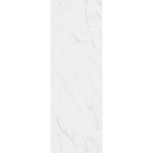 1005209SV-A