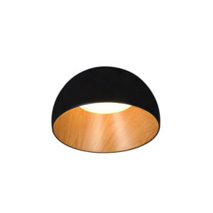 Lámpara tipo Plafon color negro Akron Black